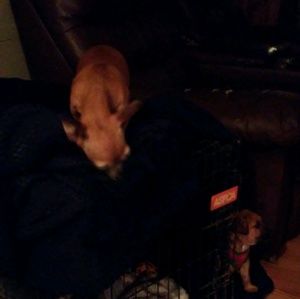 Meet your Posher, Hilda